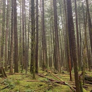 Meet your Posher, Blake